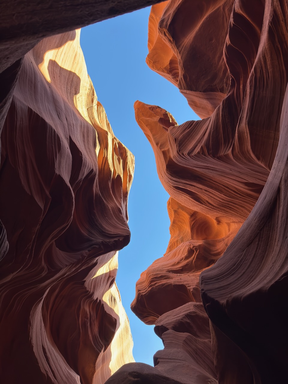 Looking up through the sculpted sandstone walls of Lower Antelope Canyon on the Navajo Nation