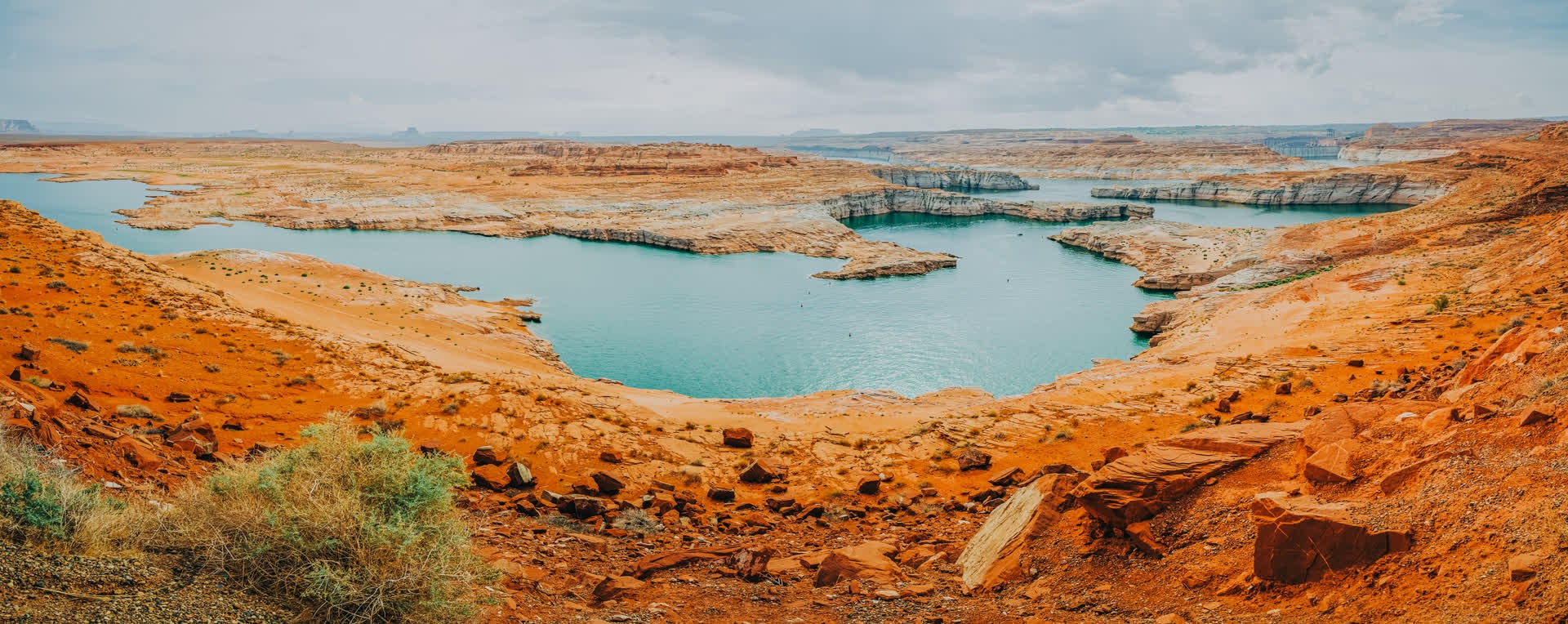 Lake Powell winding through pale sandstone near Page, Arizona