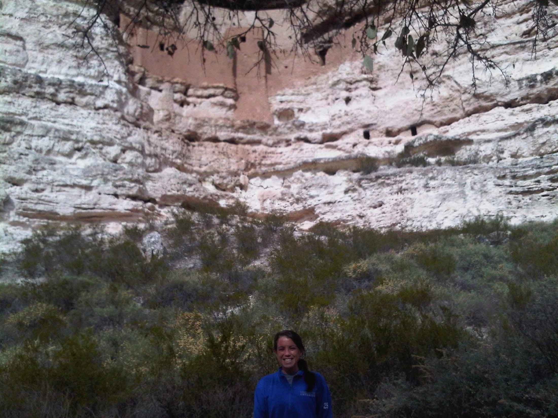 Montezuma Castle cliff dwelling above mature trees in Camp Verde, Arizona