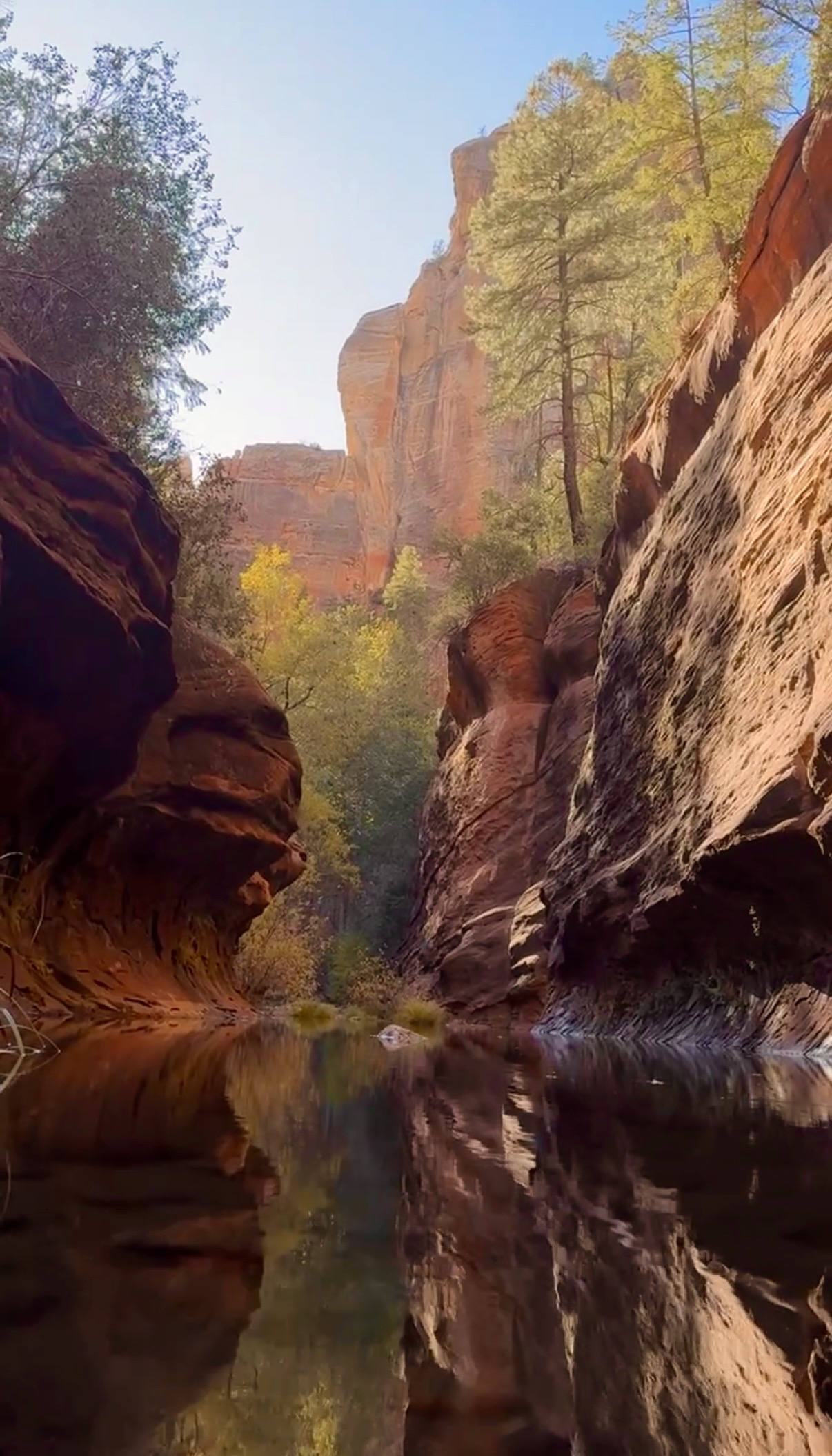 Still water reflecting red canyon walls and autumn trees along West Fork Trail in Oak Creek Canyon
