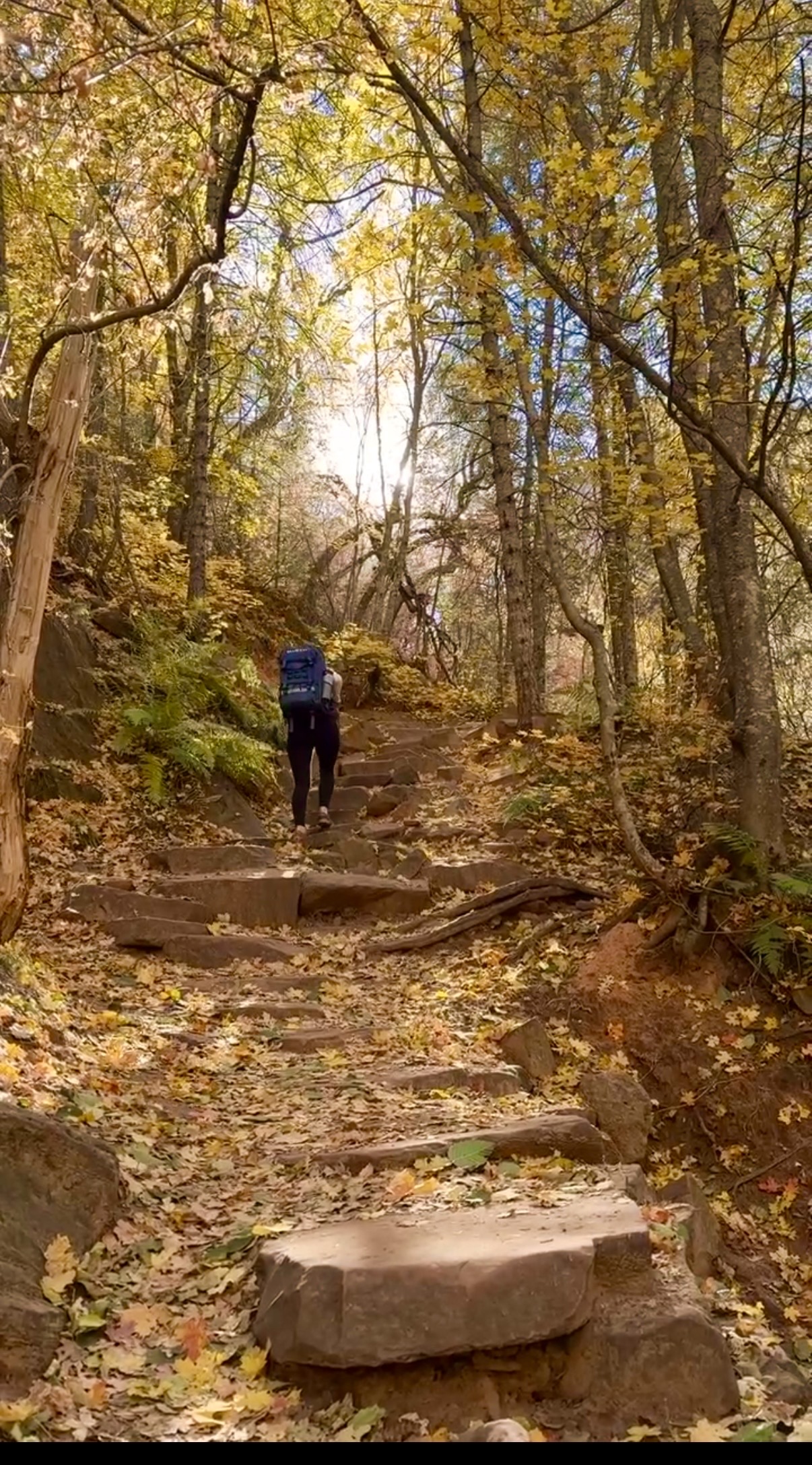 A hiker climbing stone steps beneath autumn foliage on West Fork Trail in Oak Creek Canyon
