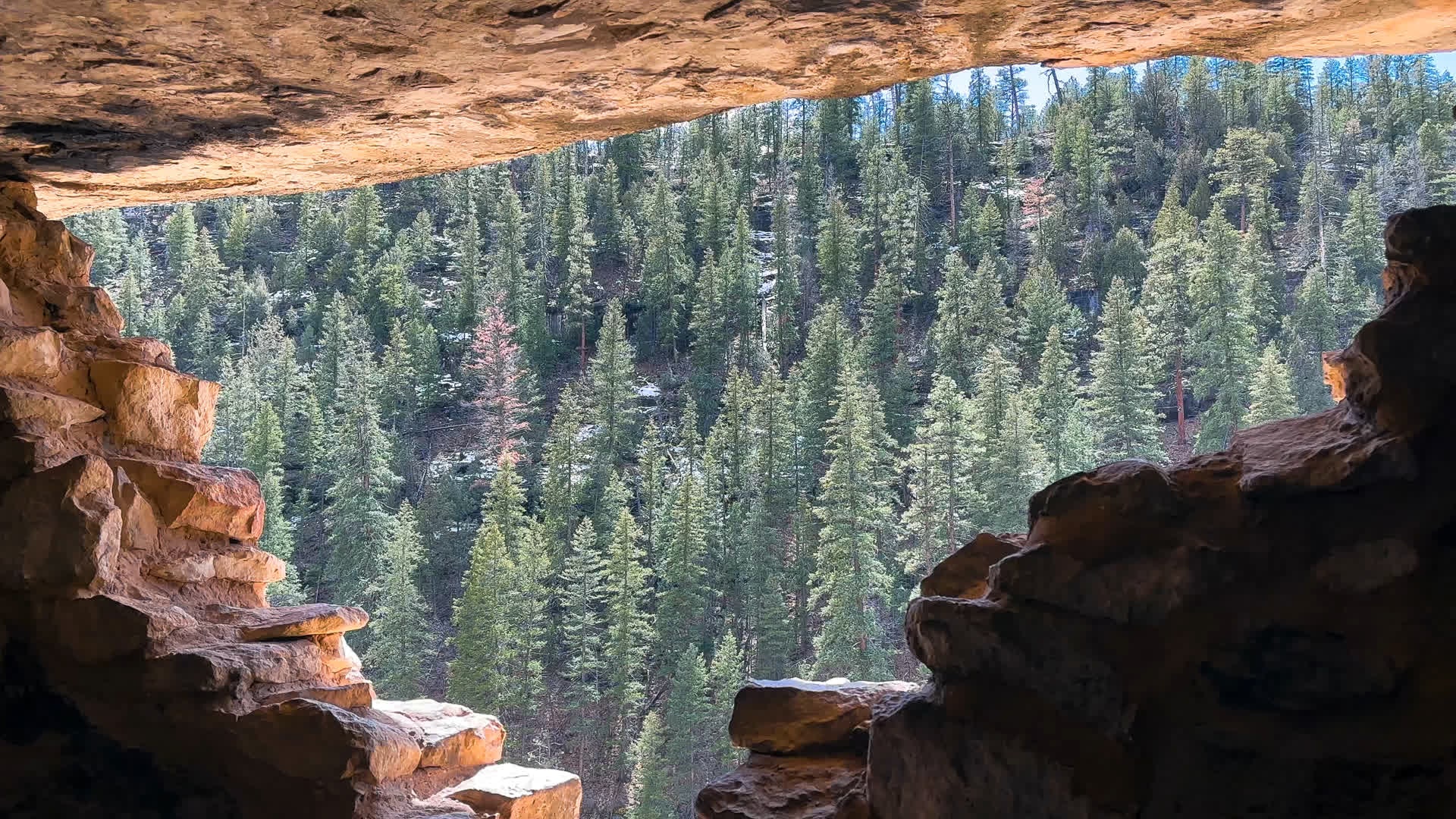Forest and canyon walls viewed through a cliff dwelling at Walnut Canyon National Monument